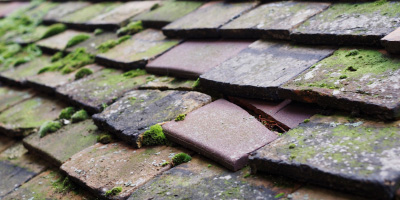 Wadborough roof repair costs